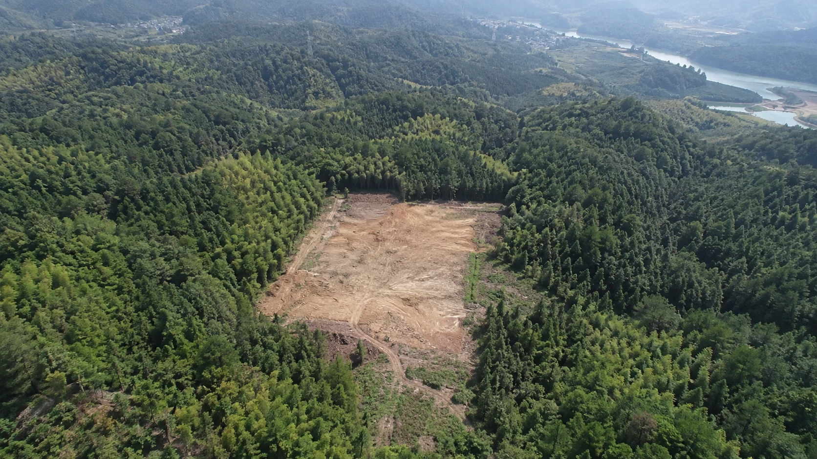 植被扰动与生态修复变化核查:独立无人机航拍场景与红色目标标注示意